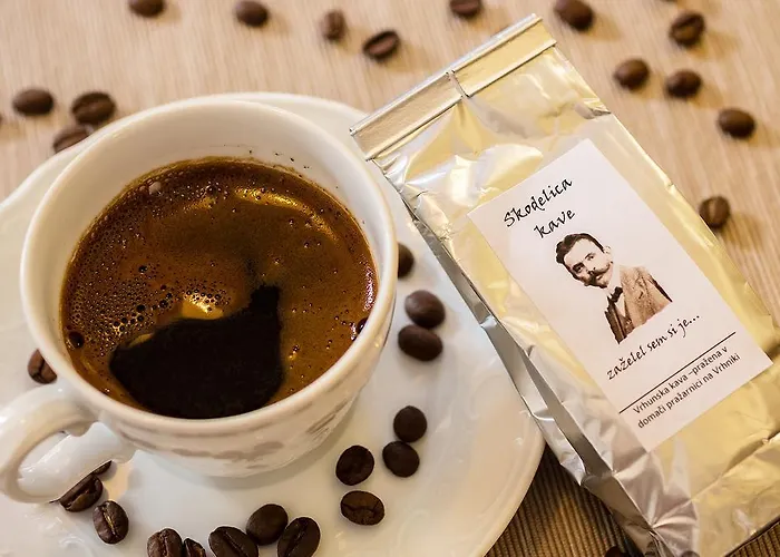 Bistra Hiša za goste Vrhnika