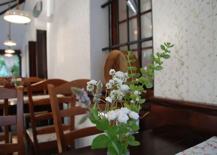 Bistra Hiša za goste