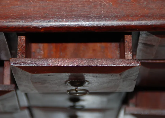 Hiša za goste Bistra