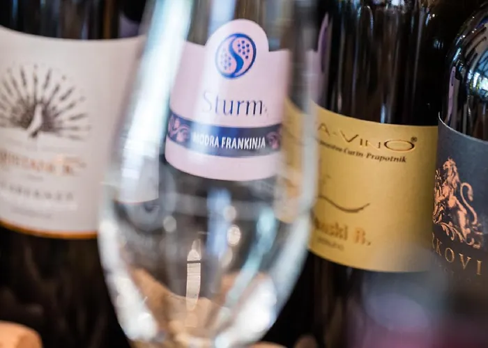 Bistra Hiša za goste